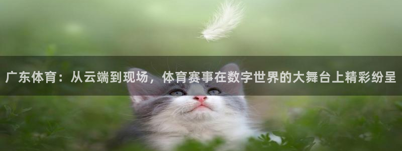 nba黑白直播在线观看免费：广东体育：从云端到现场，体育赛事在数字世界的大舞台上精彩纷呈