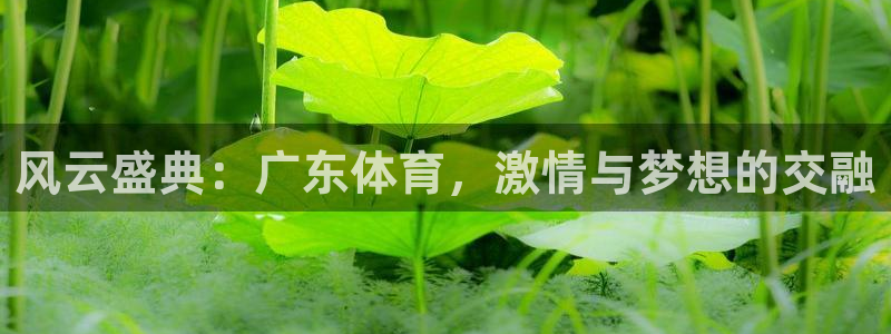 旧版黑白直播体育app下载：风云盛典：广东体育，激情与梦想的交融