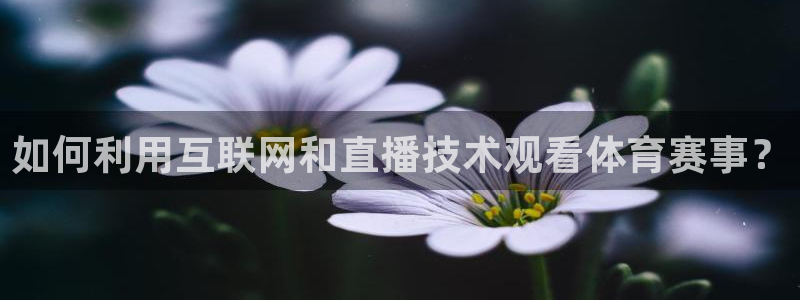 黑白体育足球免费直播：如何利用互联网和直播技术观看体育赛事？