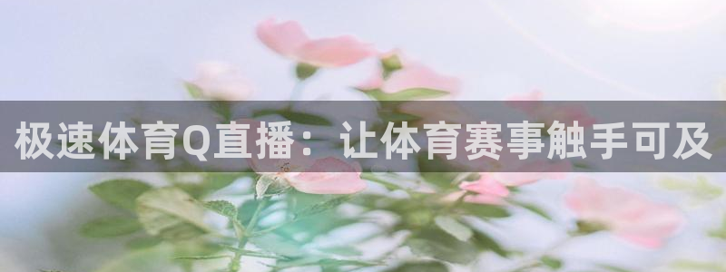 nba黑白直播免费观看直播：极速体育Q直播：让体育赛事触手可及