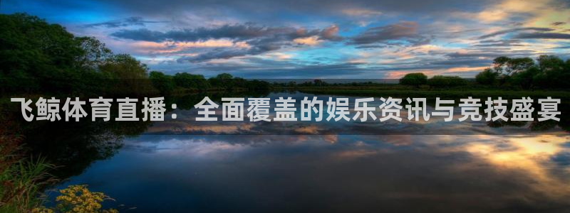 黑白直播nba直播吧：飞鲸体育直播：全面覆盖的娱乐资讯与竞技盛宴